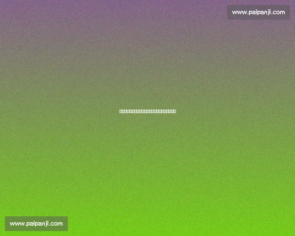 加斯佩里尼：迪巴拉与苏莱可共存，惋惜卢克曼境遇