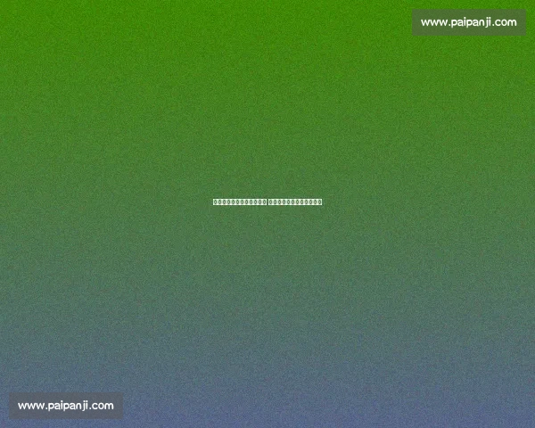 成都蓉城严斥球迷恶意涂鸦 承诺依规重罚维护赛事文明