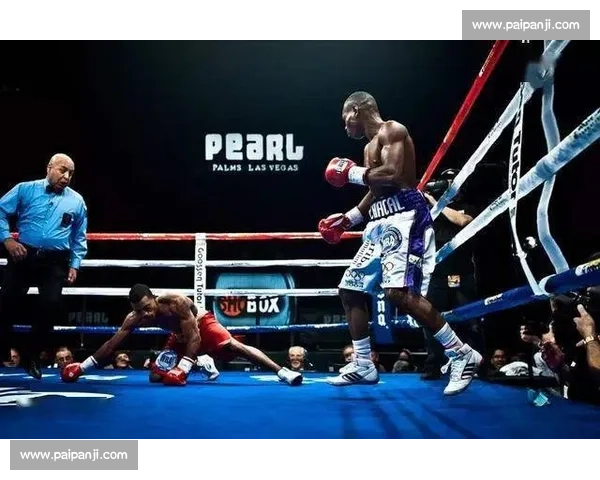 多纳雷对决里贡多二番战老将荣誉与时代速度的终极较量拳坛再燃火花